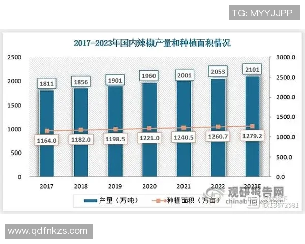 探索巴尔科的创新之路与未来发展潜力分析